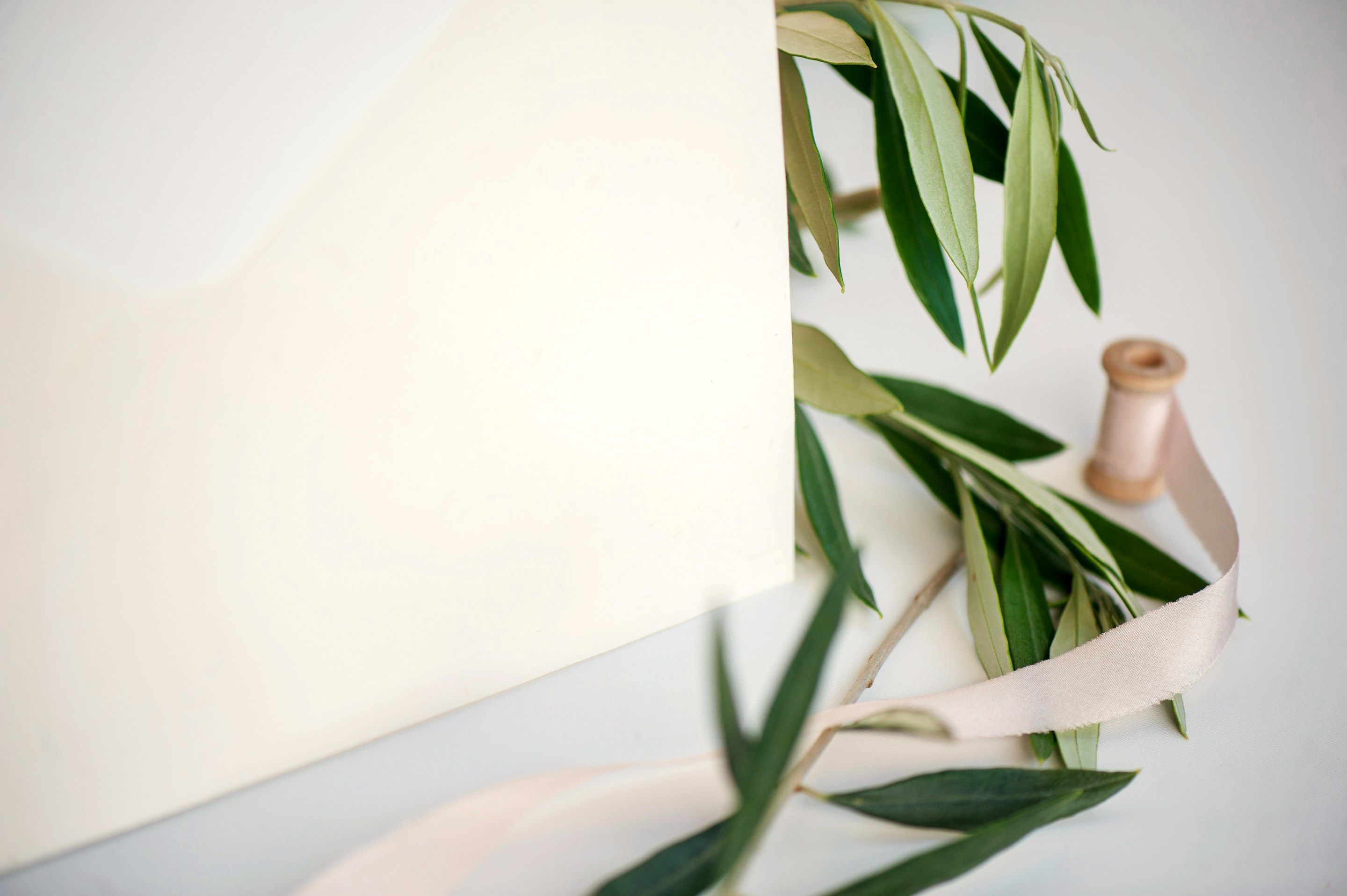 A blank linen card beside an olive branch and a spool of silk ribbon